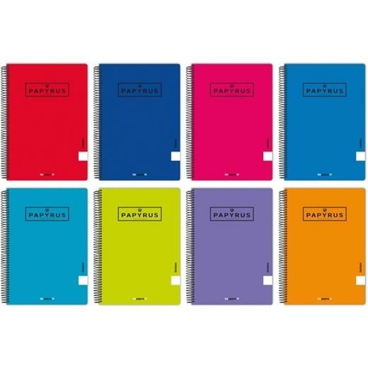 Quaderno Papyrus 01-UNICLASIC Quarto 80 Pagine (5 Unità)