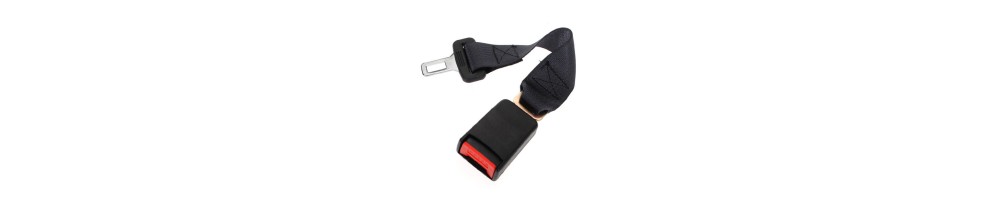 Protezione e sicurezza in auto